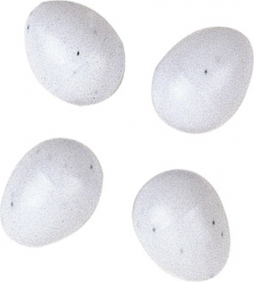 Huevo falso de plástico (x4)