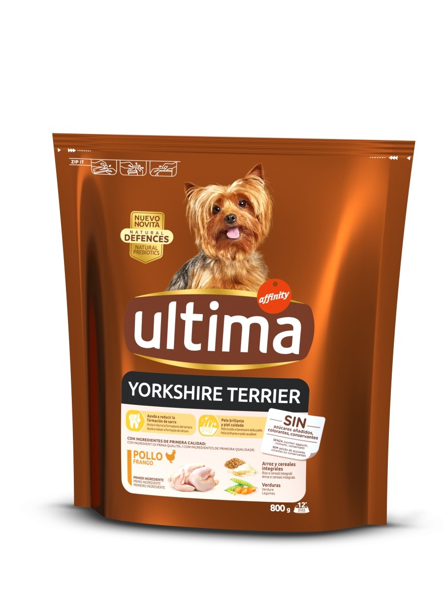 Affinity ULTIMA Mini Yorkshire Terrier Pollo per cani