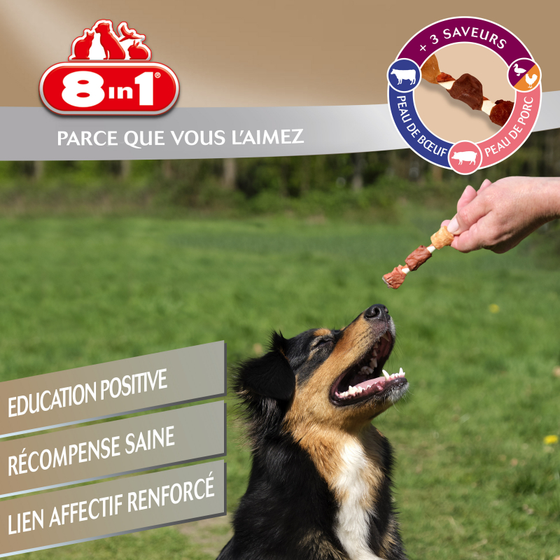 8in1 Triple Flavour Skewers köstliche Kaustangen für erwachsenen Hunde