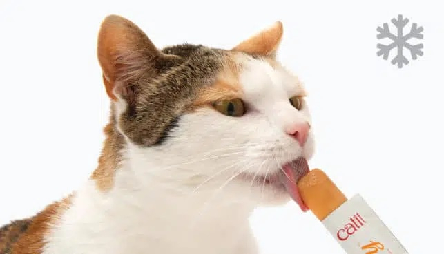 Snacks cremosos para gatos Catit Creamy
