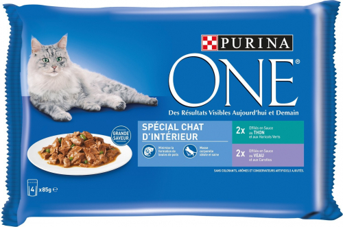 Croquette Purina One Chat