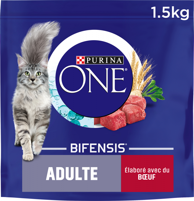 PURINA ONE - Alimento seco para gato adulto de carne de bovino