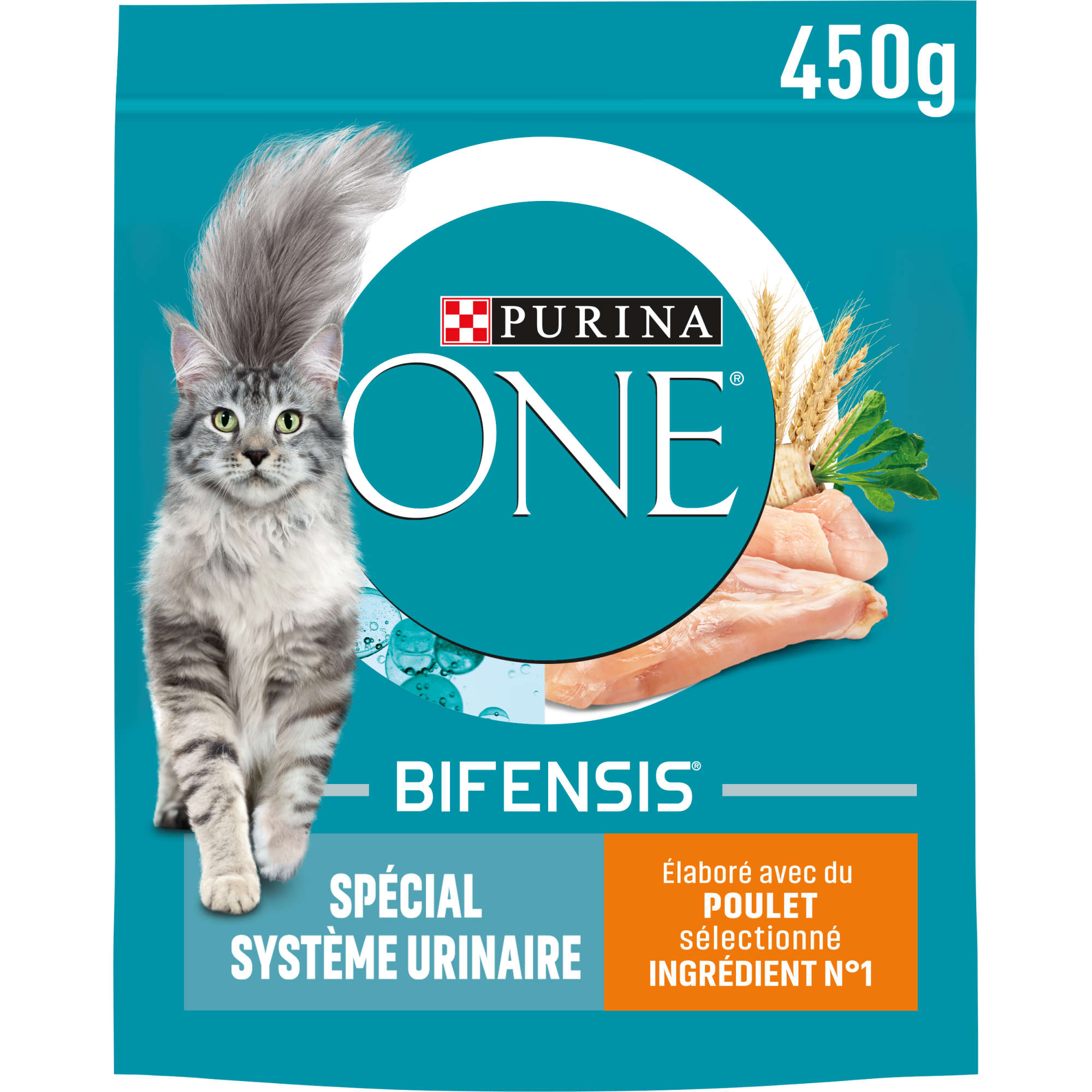 PURINA ONE Chat Urinary Care