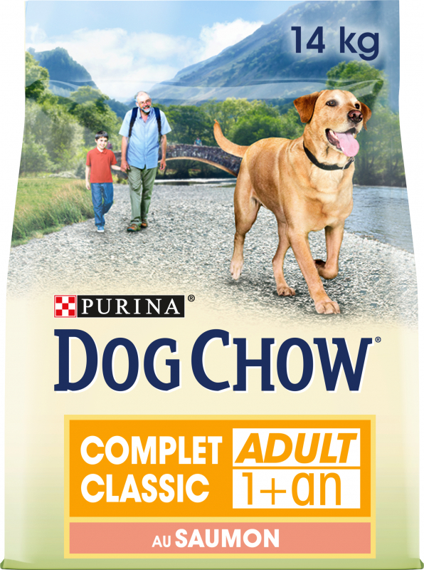 DOG CHOW für Hunde mit Lachs