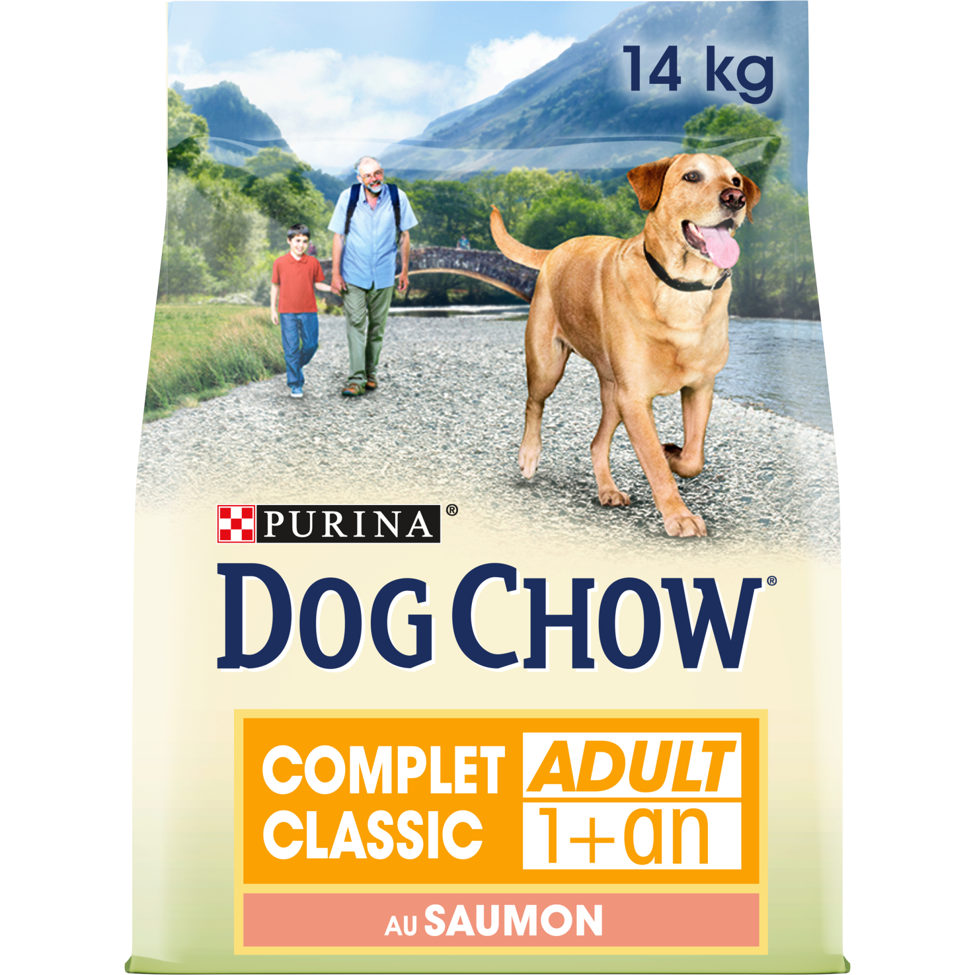 DOG CHOW per cani completo con salmone