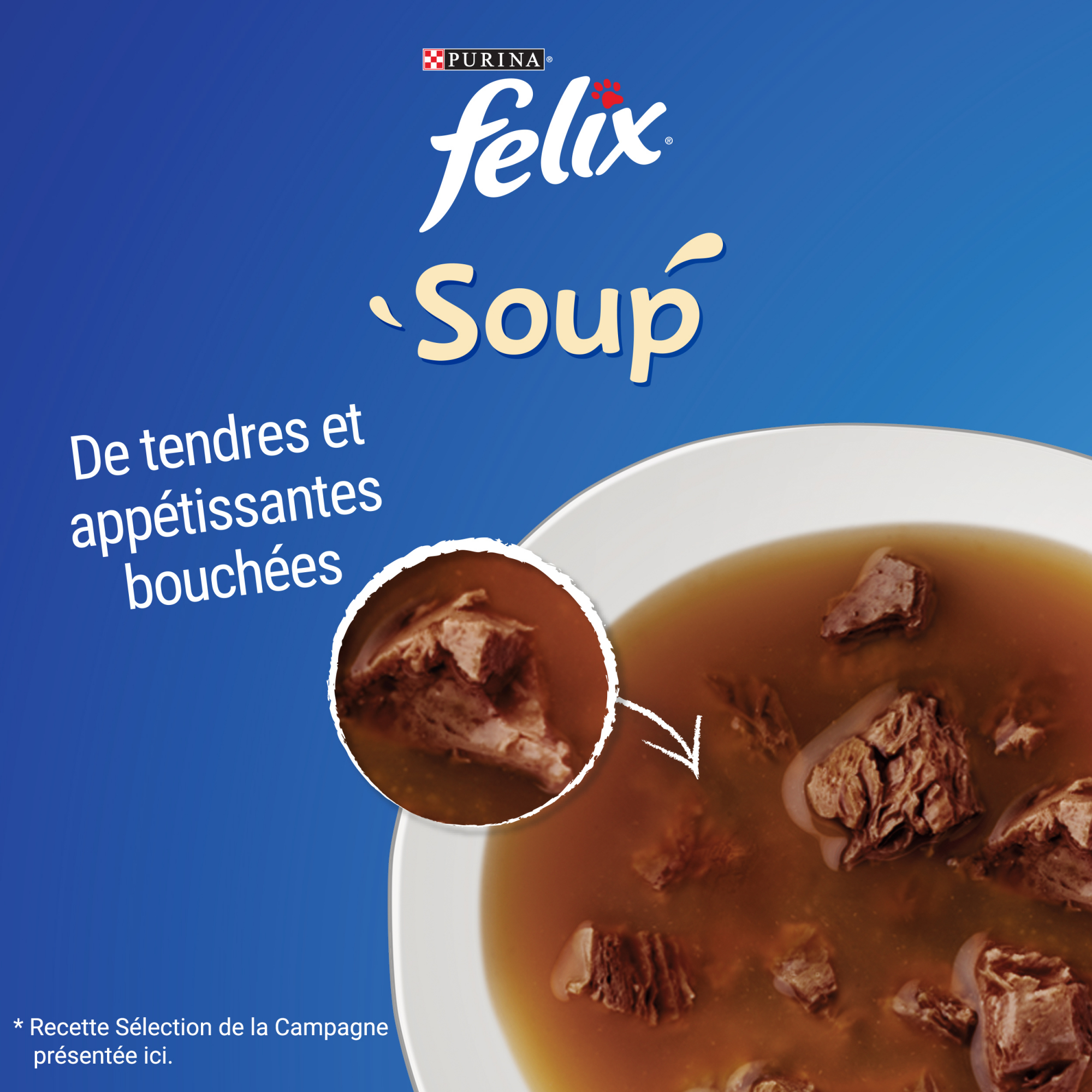 FELIX Soup