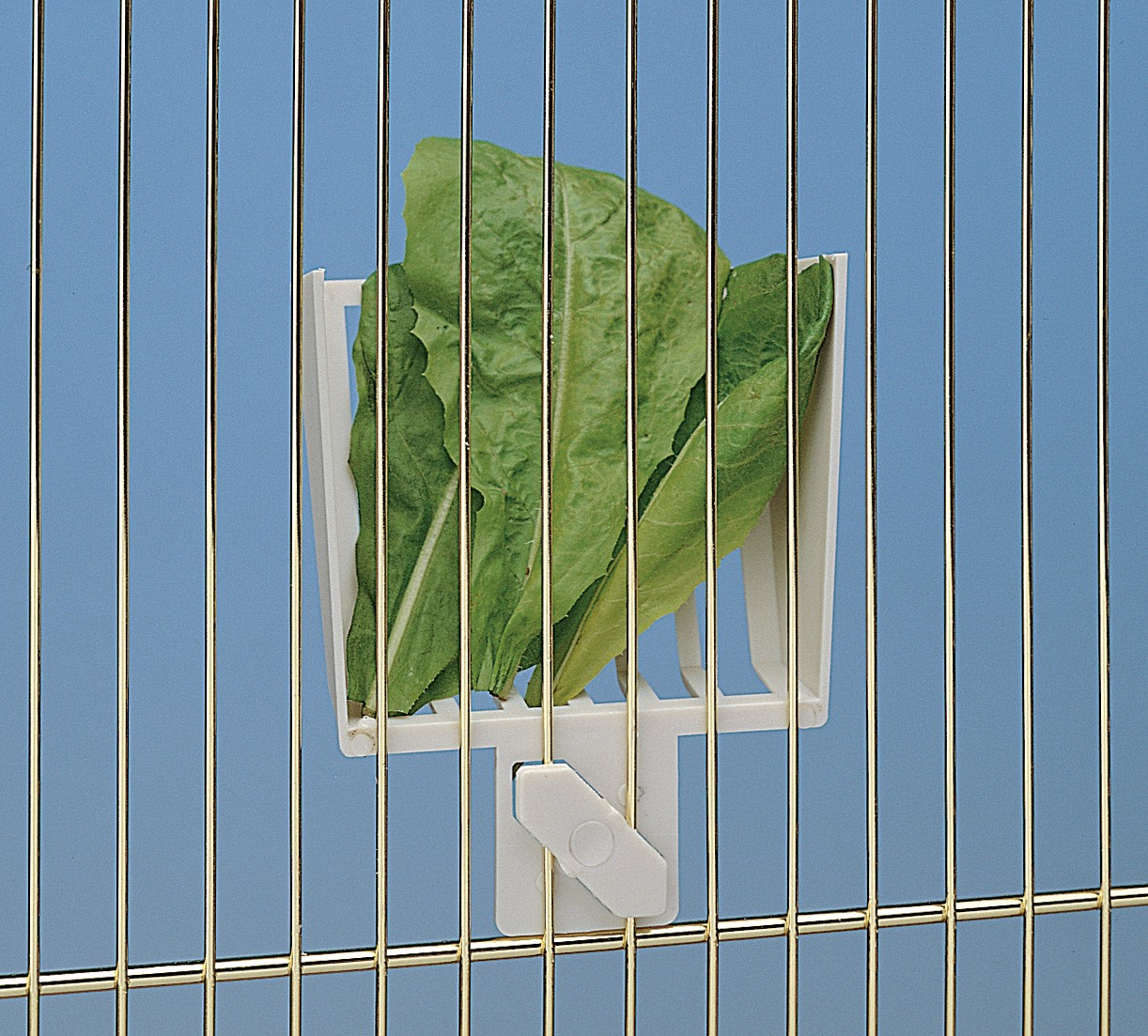 Porta Salada para gaiola