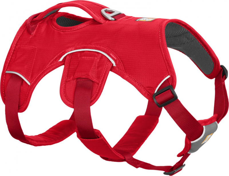 Harnais Web Master Red Currant de Ruffwear - plusieurs tailles disponibles