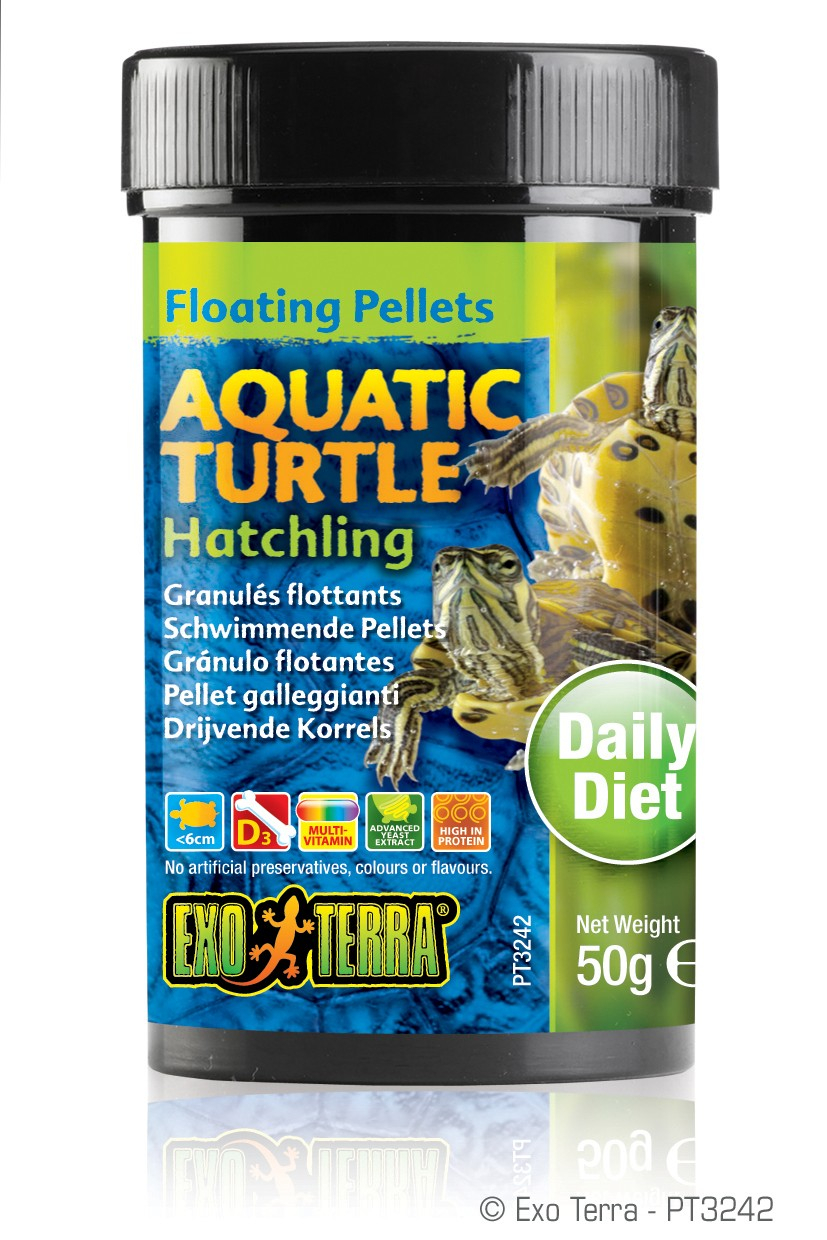 Los granulados flotantes Exo Terra para tortugas acuáticas recién nacidas