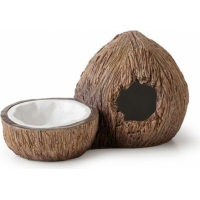 Cachette Coconut avec bol à eau Exo Terra
