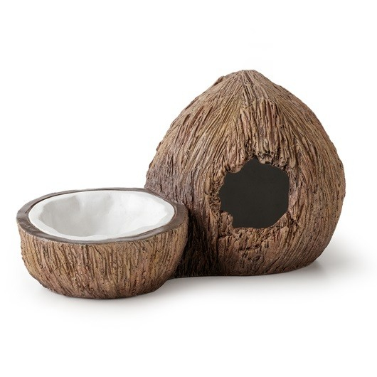 Cachette Coconut avec bol à eau Exo Terra 