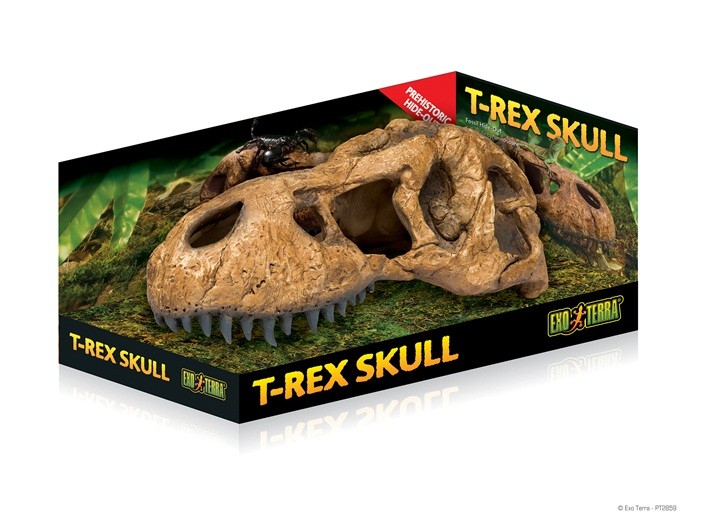 Tyrannosaurus schedel schuilplaats Exo Terra