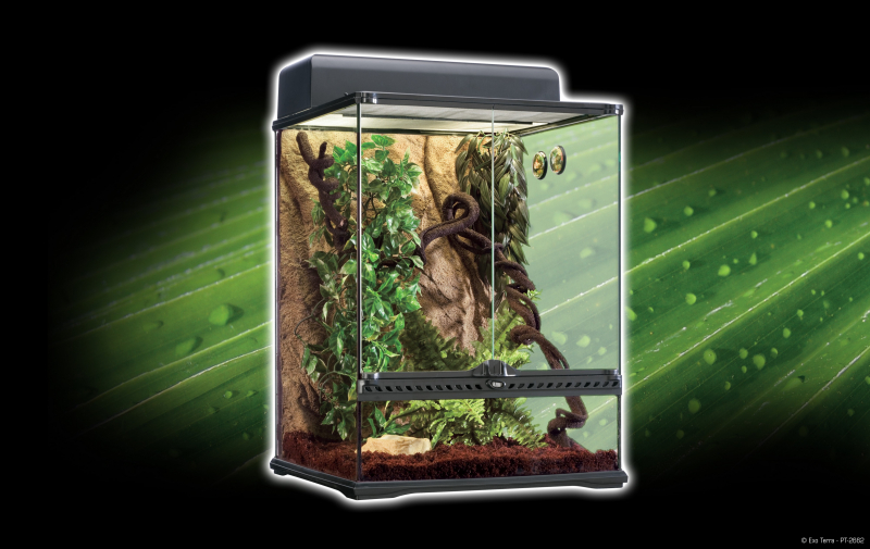  Terrarium en verre Exo Terra Rainforest - 45x45x60 cm