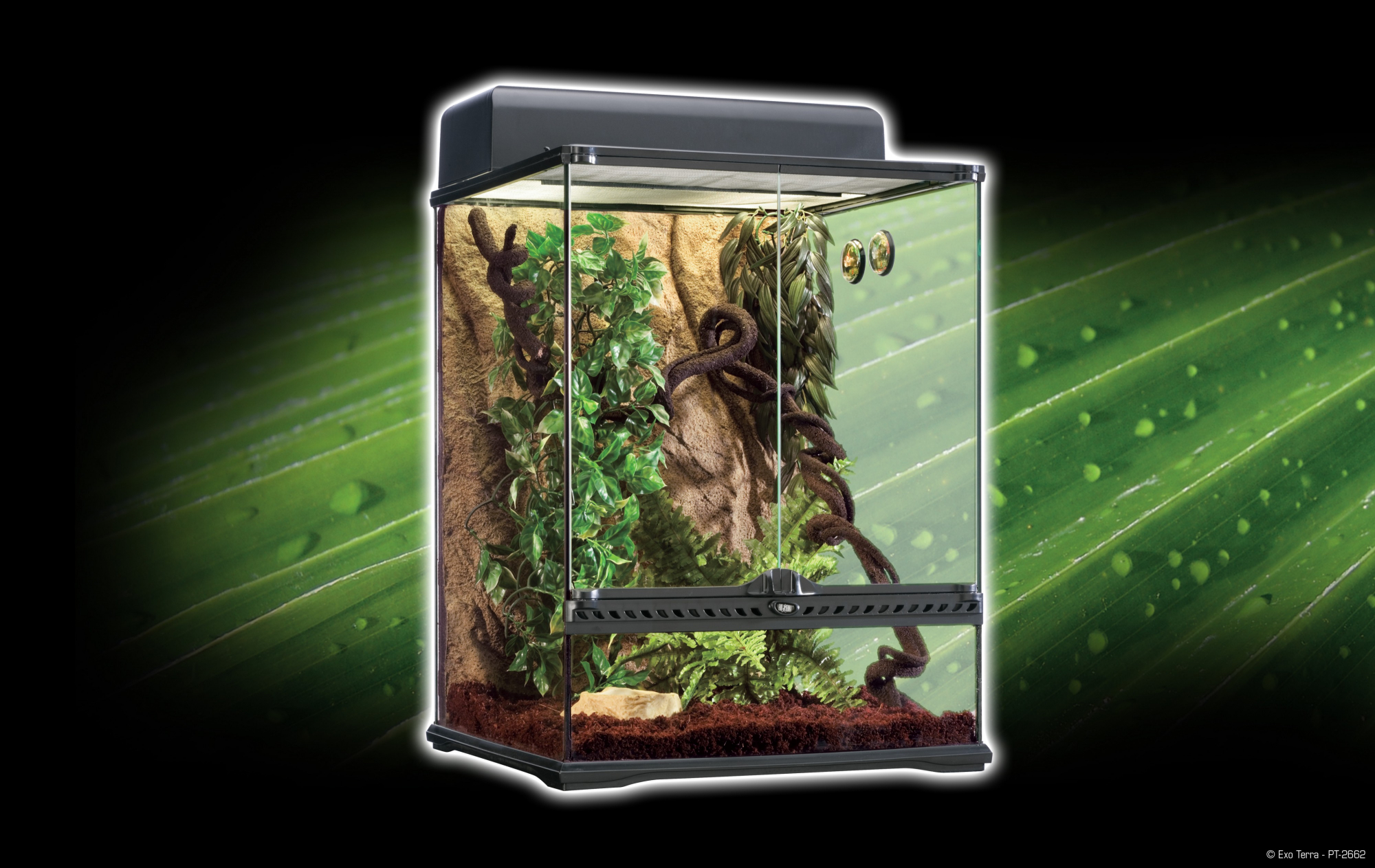 Exo Terra Rainforest Glasterrarium - 45x45x60 cm