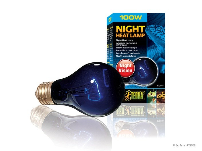 Night heat lamp Exo Terra - 100W of 150W