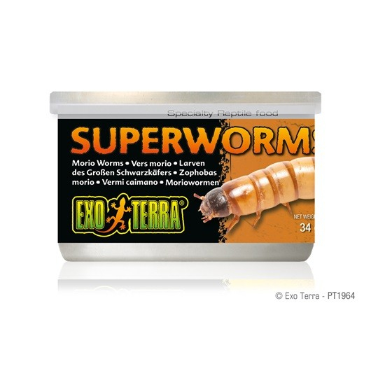 Nutrição em conserva Super Worms Exo Terra