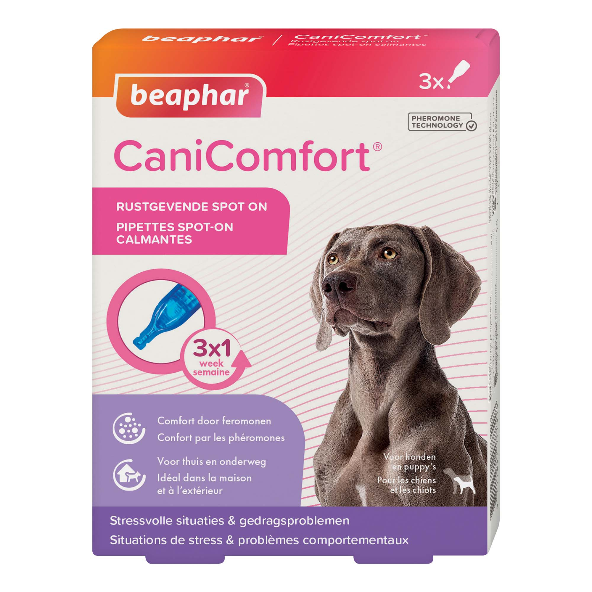 CaniComfort Beruhigungs Spot-On mit Pheromonen für Hunde und Welpen