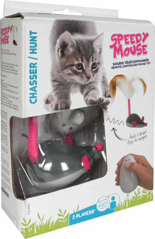 souris telecommandee chat