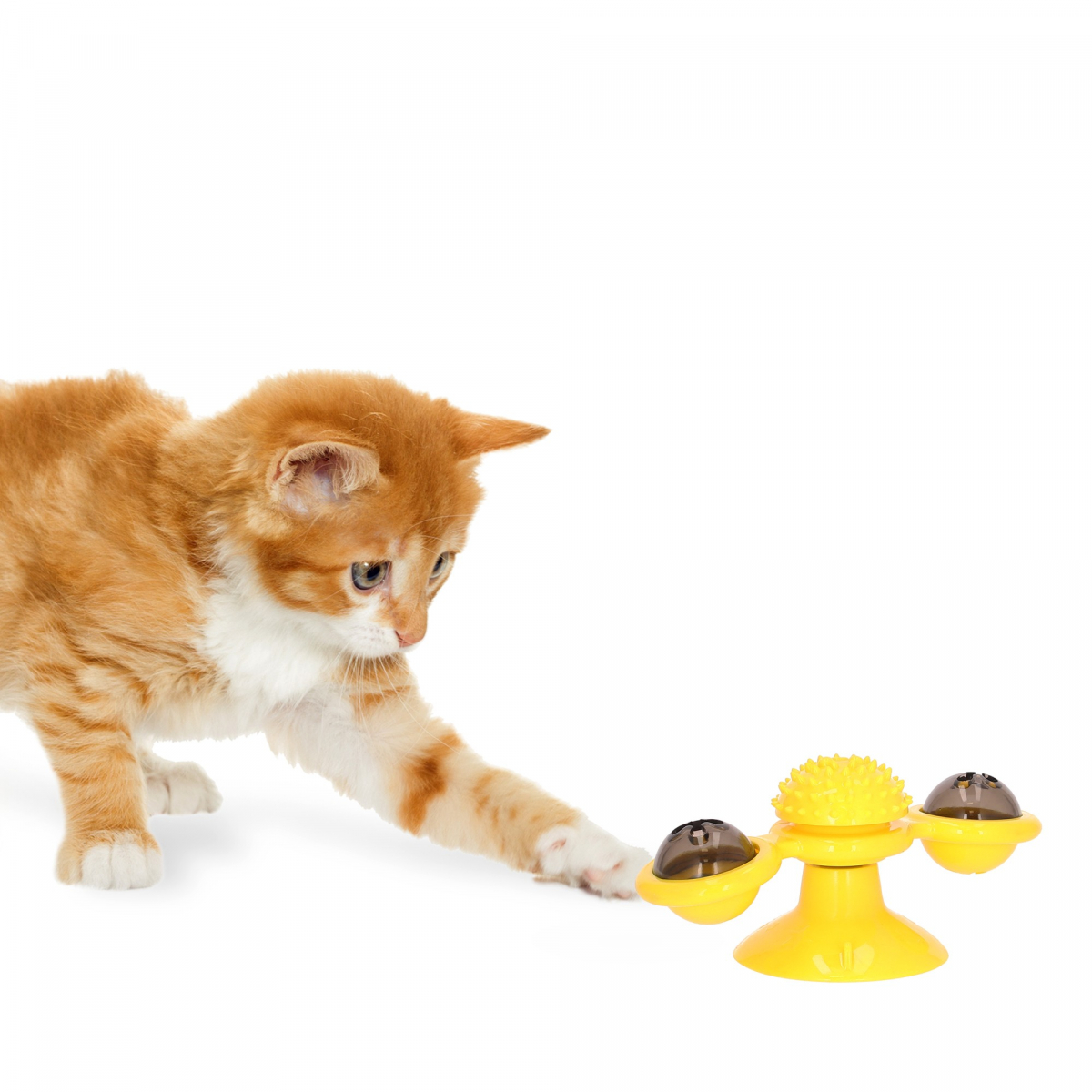 Hertogin gerucht Afgekeurd Draaiend speelgoed met zuignap voor katten Zolia