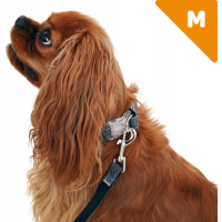 Zolia Ecopetly Hundehalsband - verschiedene Größen erhältlich