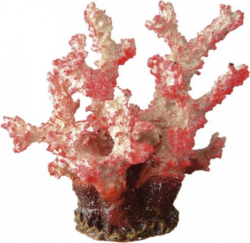 Décoration en résine - Corail rose
