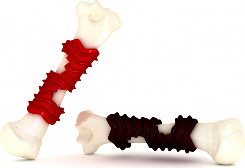 Juguete X-tra Bone dental - 2 tallas