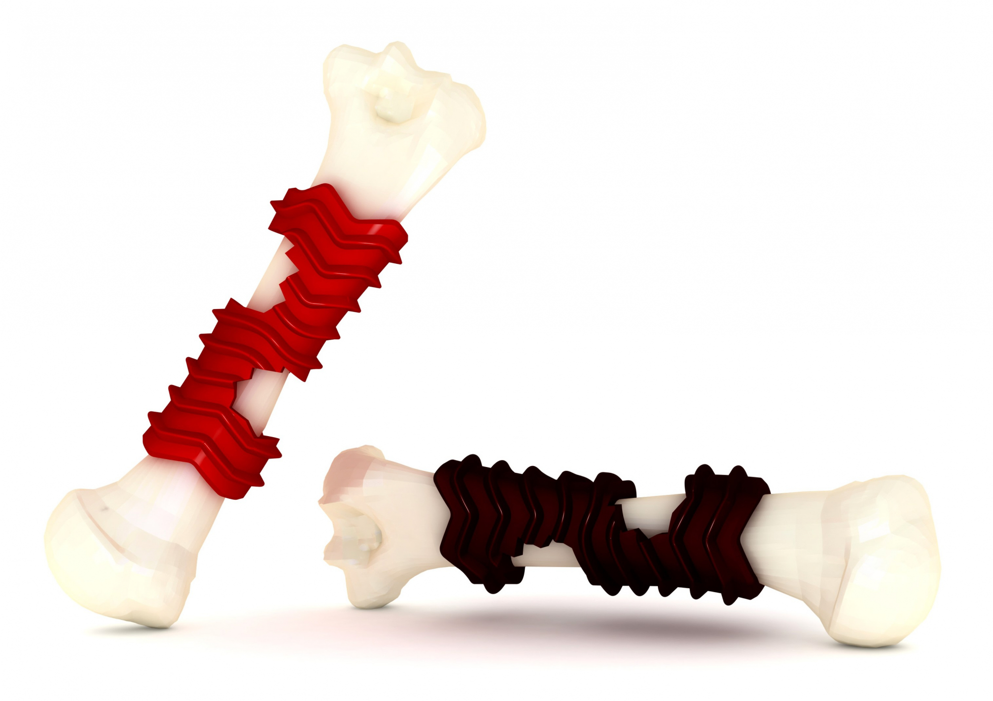 Brinquedo X-tra Bone dental - 2 tamanhos