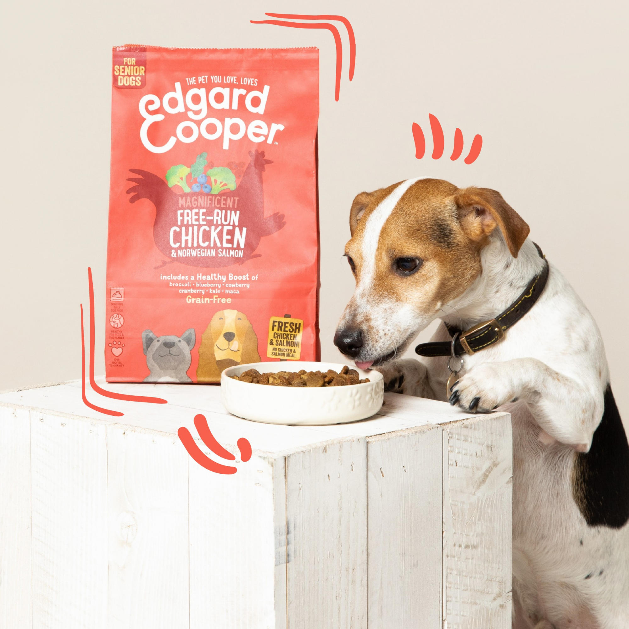 Edgard & Cooper ração seca para cão com frango e salmão fresco sem cereais