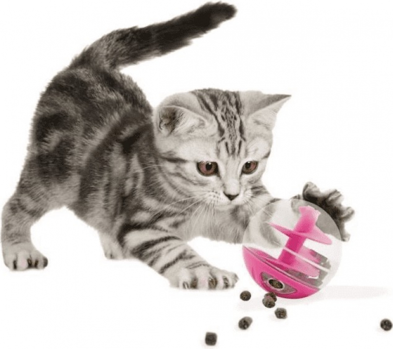 Bola Dispensadora De Golosinas Para Gatos Cat Itboxcatchile 
