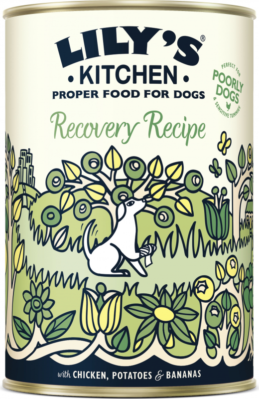 LILY'S KITCHEN Recovery Recipe Senior