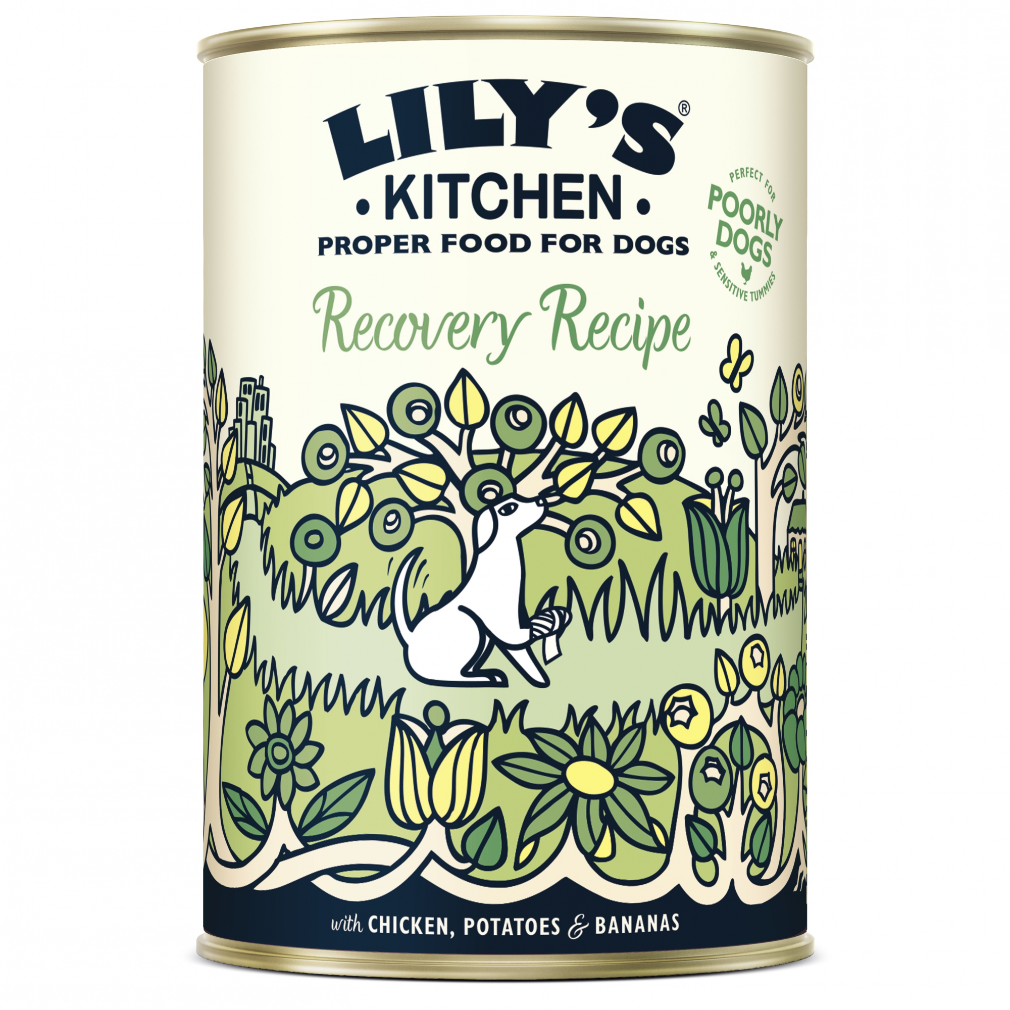 LILY'S KITCHEN Recovery Recipe para perros senior
