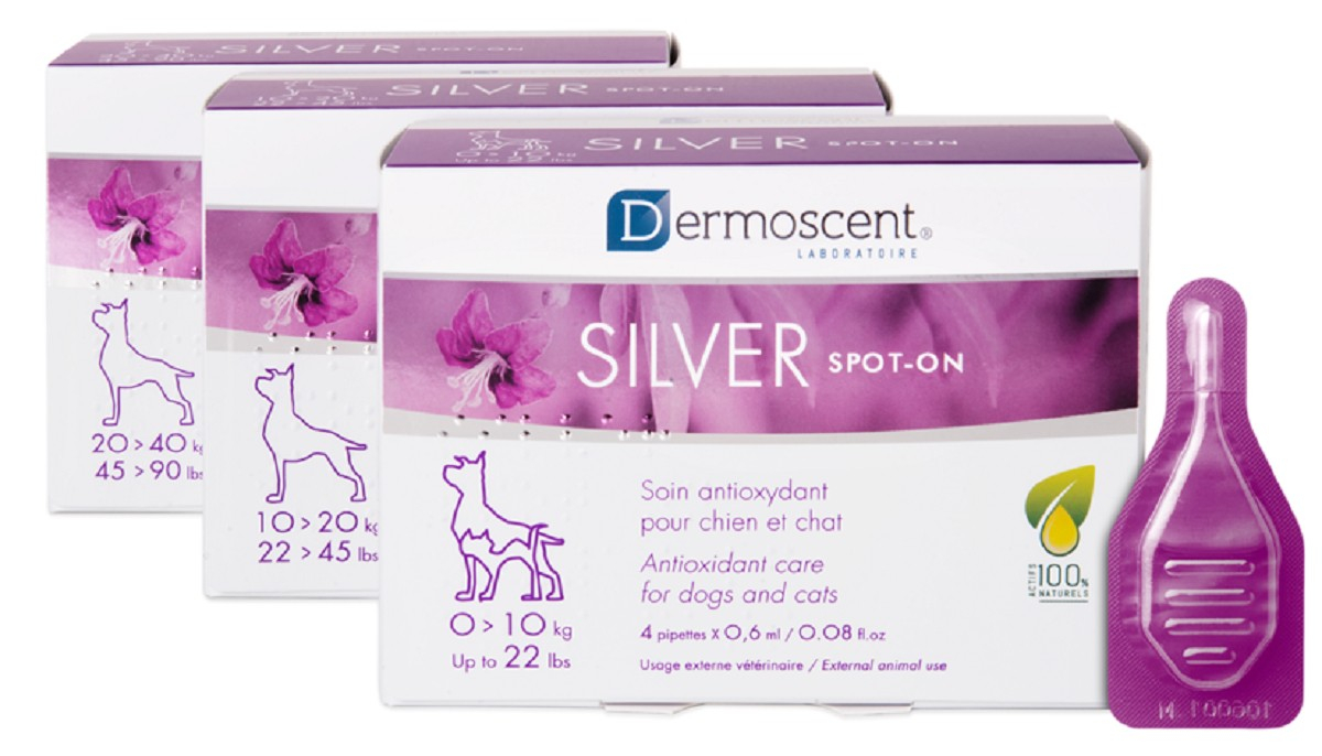Dermoscent SILVER spot Cuidados hidratantes y nutritivos para perro y gato mayores