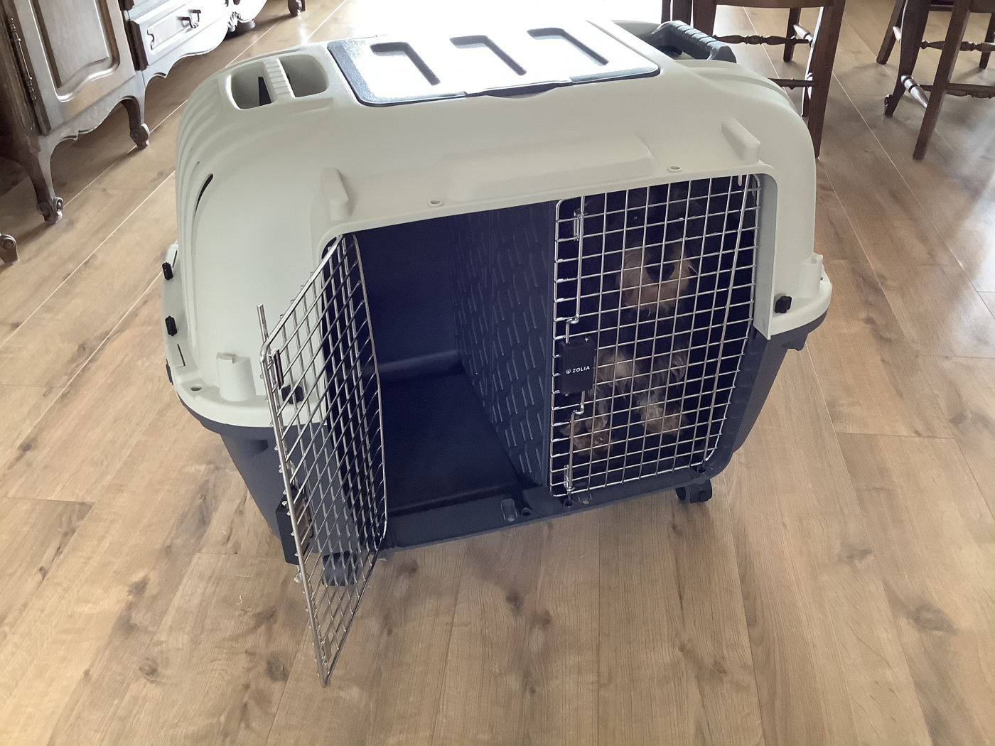 Cage de transport avec roulettes et séparateur pour chien Zolia Bonnie