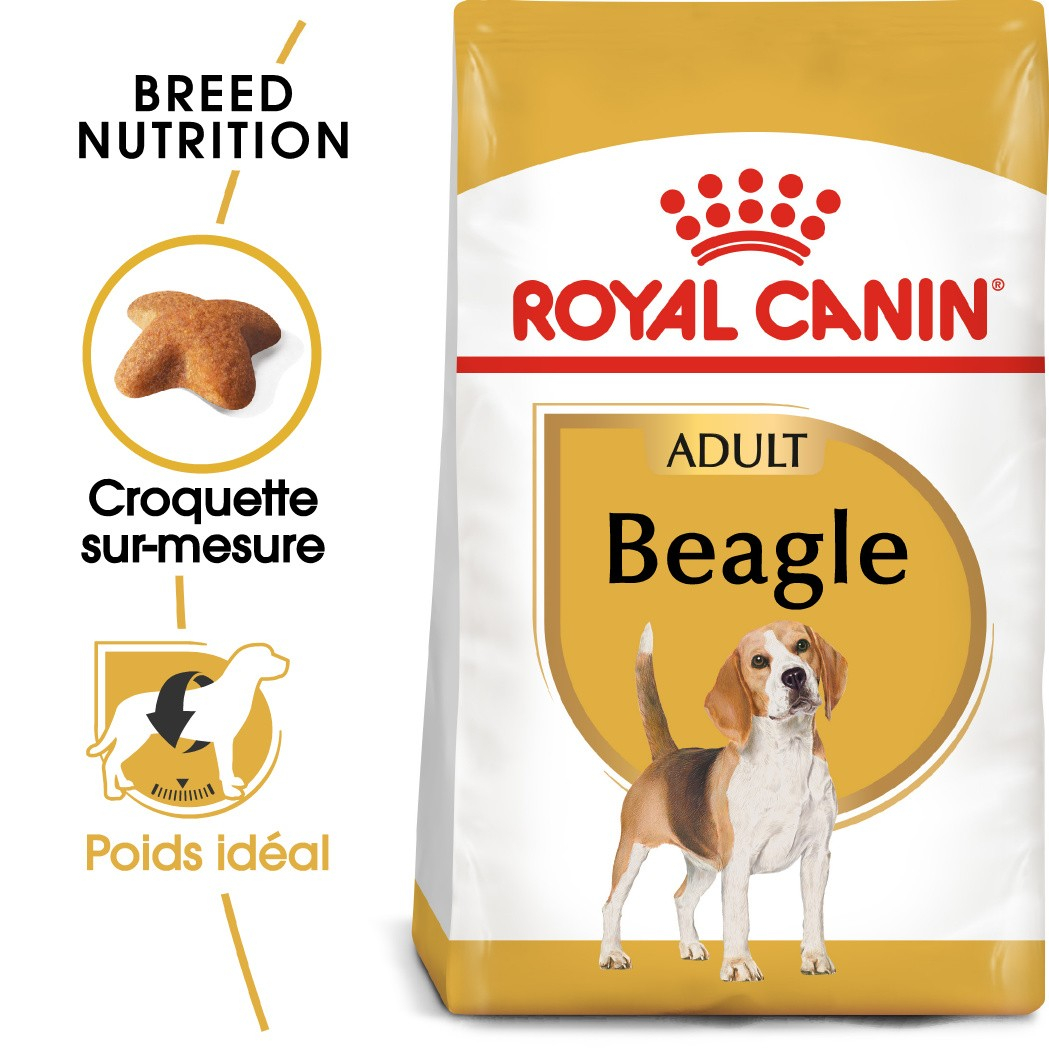 Royal Canin Beagle adult 