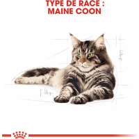 ROYAL CANIN Mousse para Maine Coon adulto