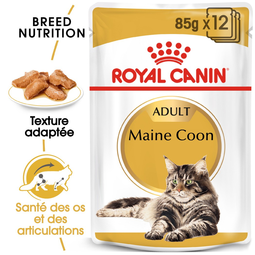 ROYAL CANIN Nassfutter für Erwachsene Maine Coon