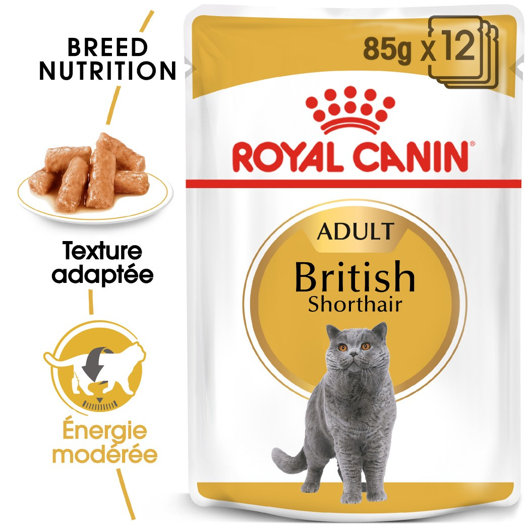 ROYAL CANIN Espuma para British Shorthair adulto