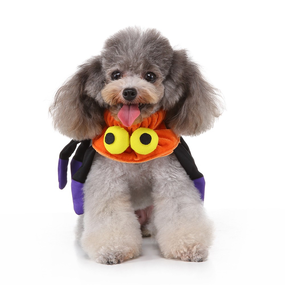 collier Halloween Araignée Zolia Festive pour chien