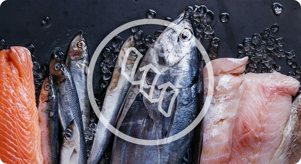 Proteínas de calidad del pienso OPTIMUS Fresh Fish 