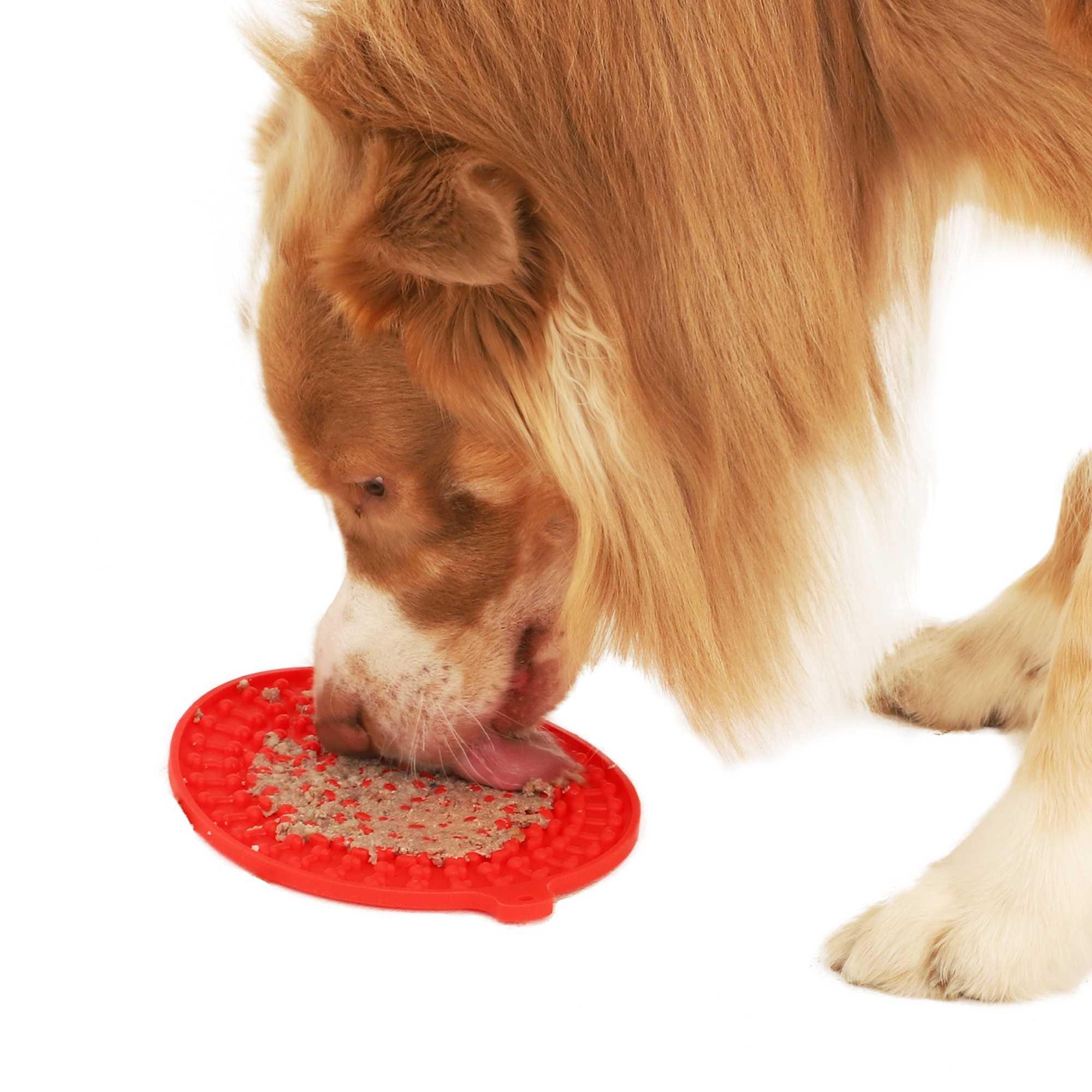 Schleckmatte für Hunde Zolia