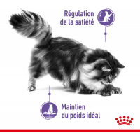 Royal Canin APPETITE CONTROL CARE en Mousse pour chat sujet à l'embonpoint