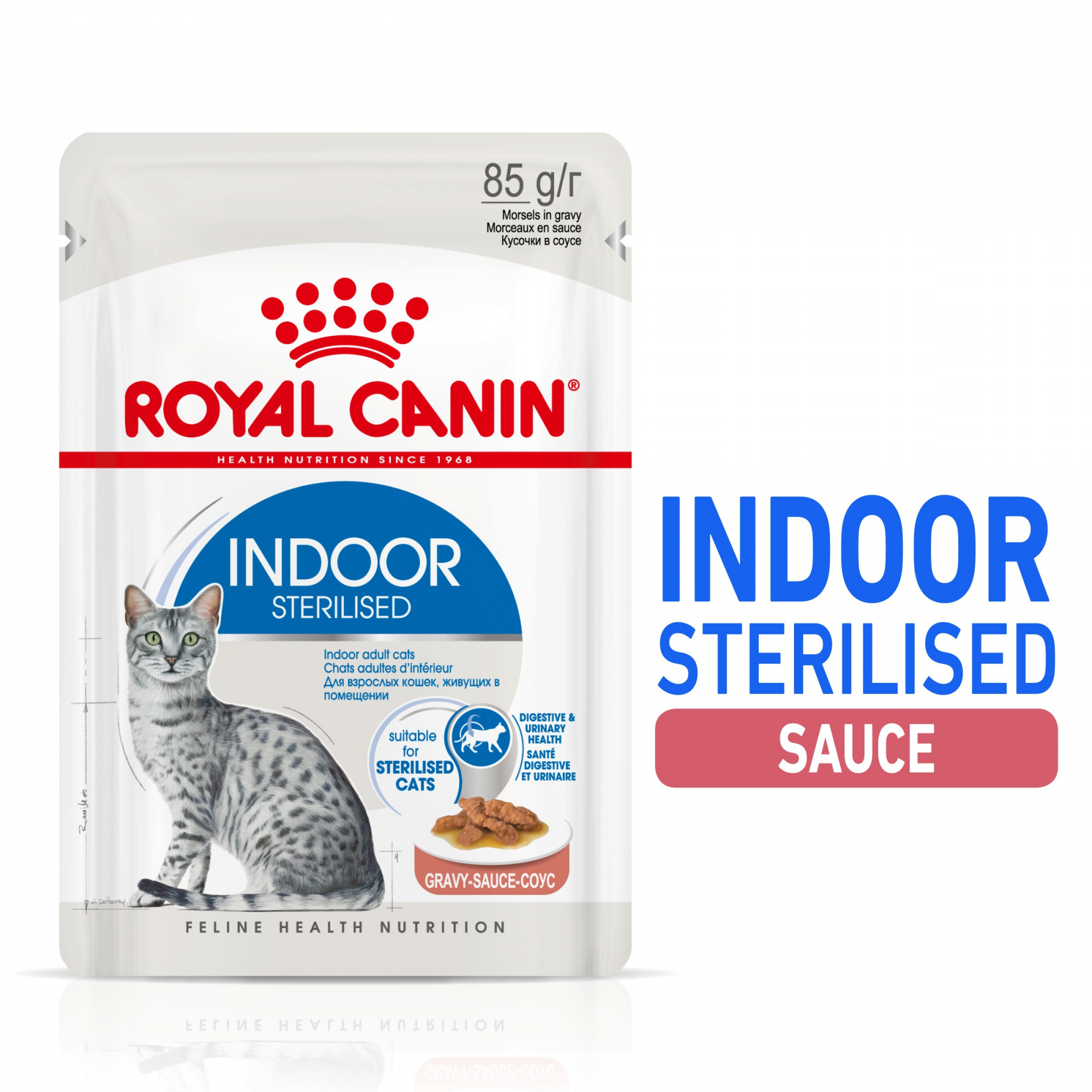 ROYAL CANIN Indoor Sterilised Happen in Soße für sterilisierte Wohnungskatzen von 1 bis 7 Jahren