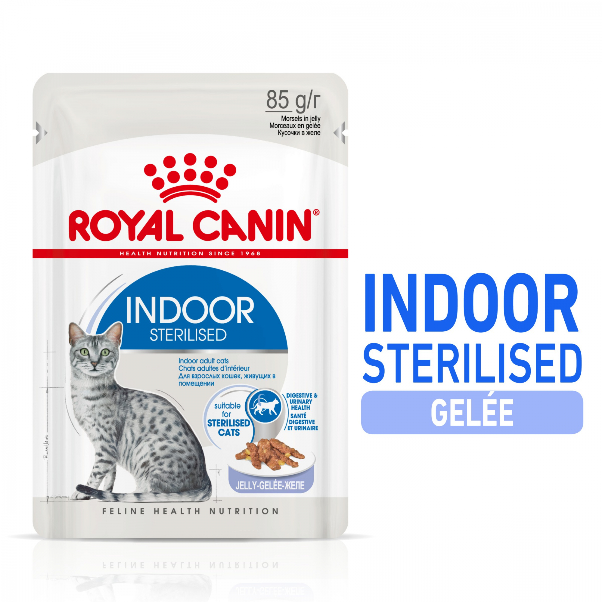 Royal Canin INDOOR STERILISED Bouchées en gelée pour chat d'intérieur stérilisé de 1 à 7 ans
