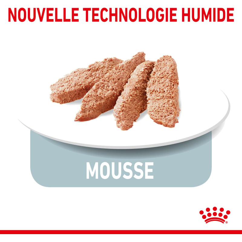 Royal Canin Indoor Sterilised En Mousse Pour Chat Dintérieur Stérilisé