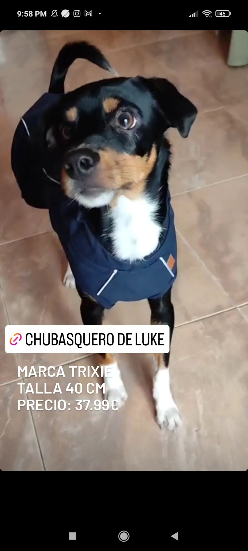 Trixie Manteau Duo avec Harnais chien XS bleu, Chien