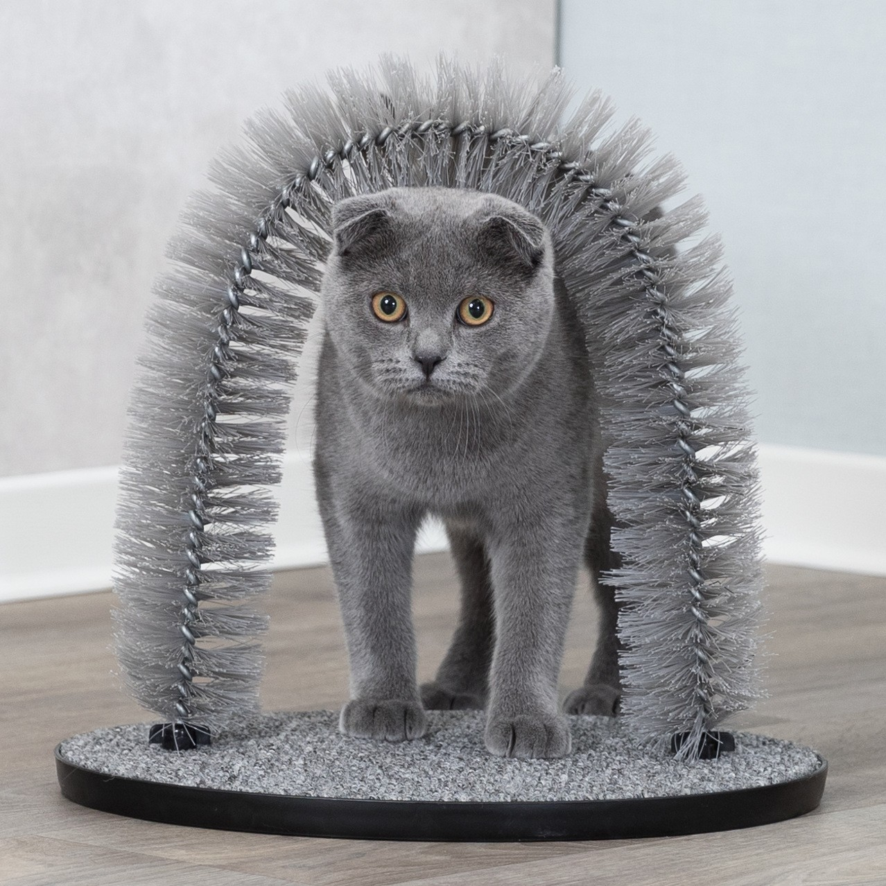 Arco cinzento de massagens e cuidado do pêlo para gato