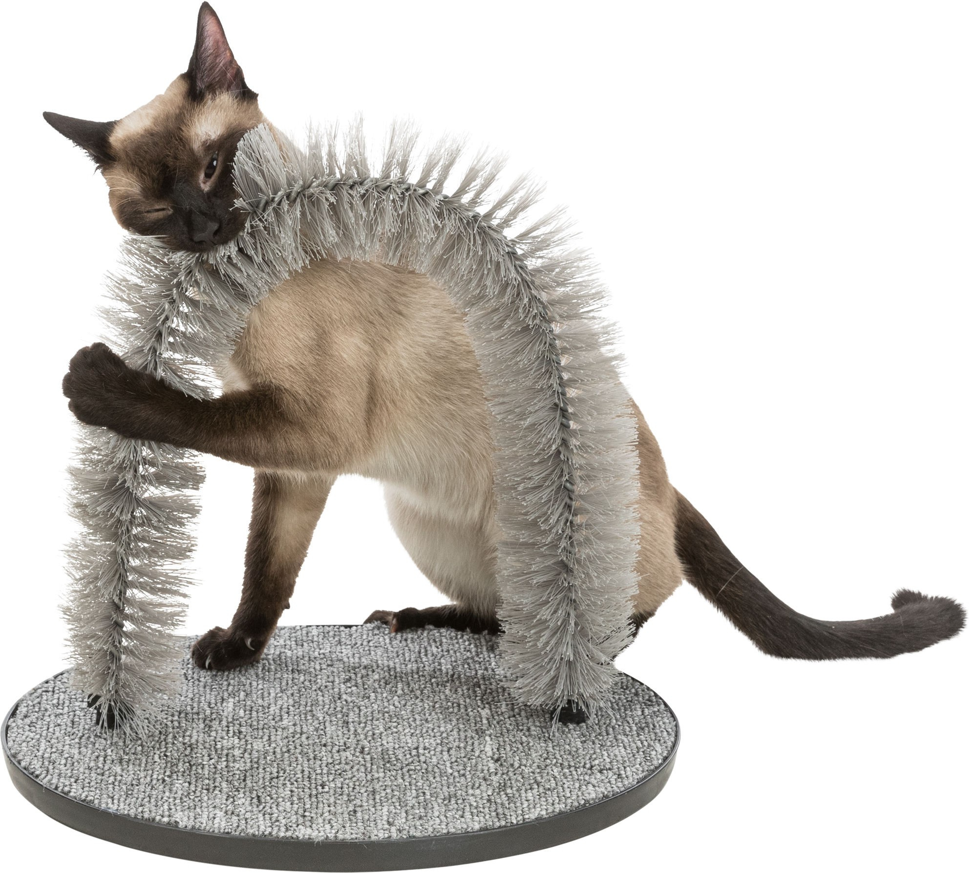 Arco de masaje y de cuidados del pelo gris para gato
