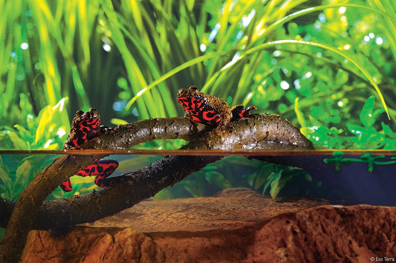 Liane flexible reptiles waterproof 180cm Exo-Terra