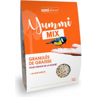 HAMIFORM Yummi Mix - Pellets de grasa e insectos para pájaros silvestres