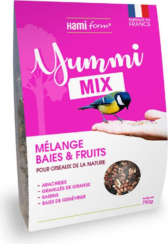 HAMIFORM Yummi mix - Miscela di bacche e frutta per gli uccelli dell'aria